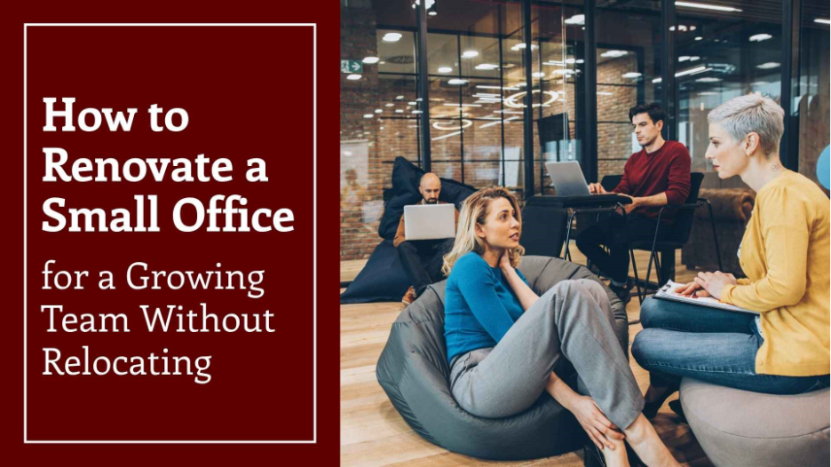 A modern small office with a diverse team collaborating in a relaxed, flexible workspace, featuring laptops, lounge seating, and glass-walled meeting areas.